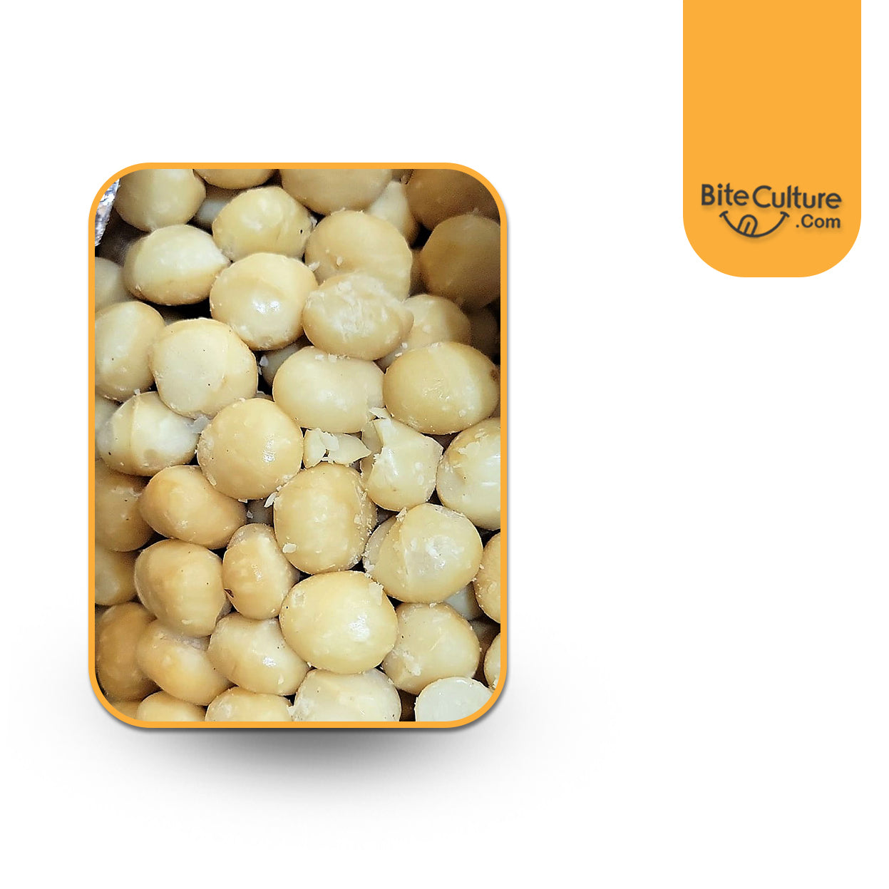 Macadamia Dry R/S Style #1-1LB