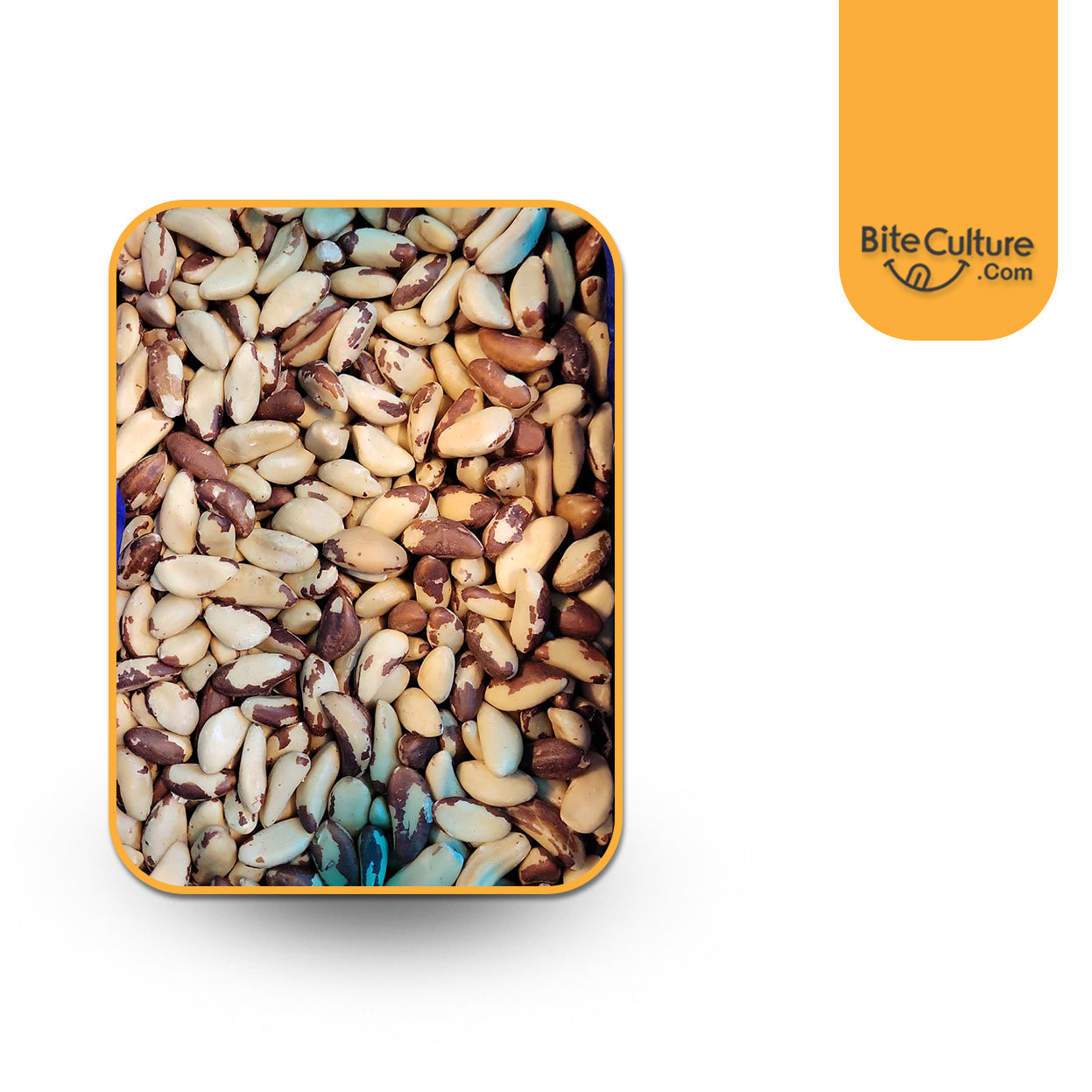 Brazil Nuts Raw 1 Lb