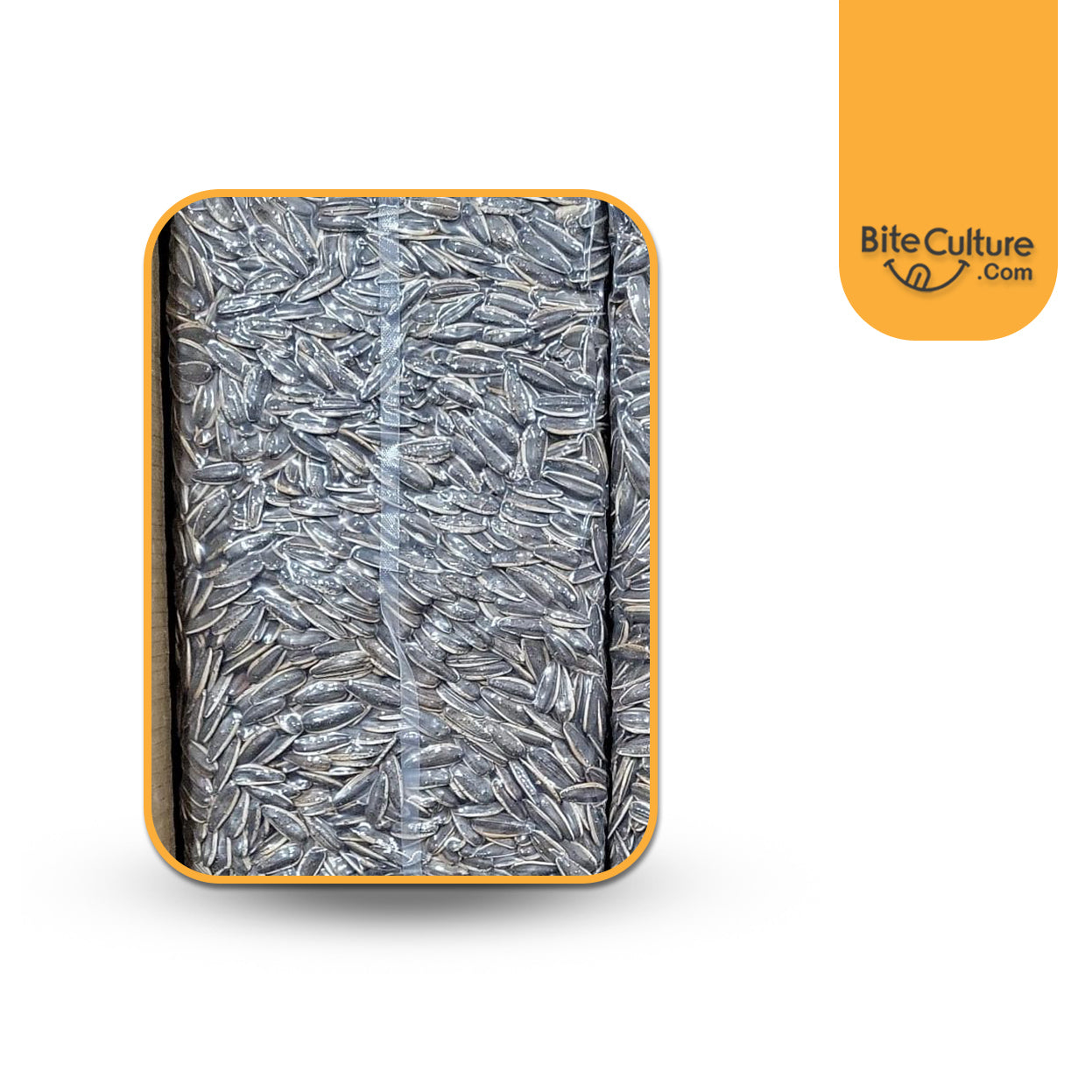 Sunflower Seeds  Roasted Salted 15 lb