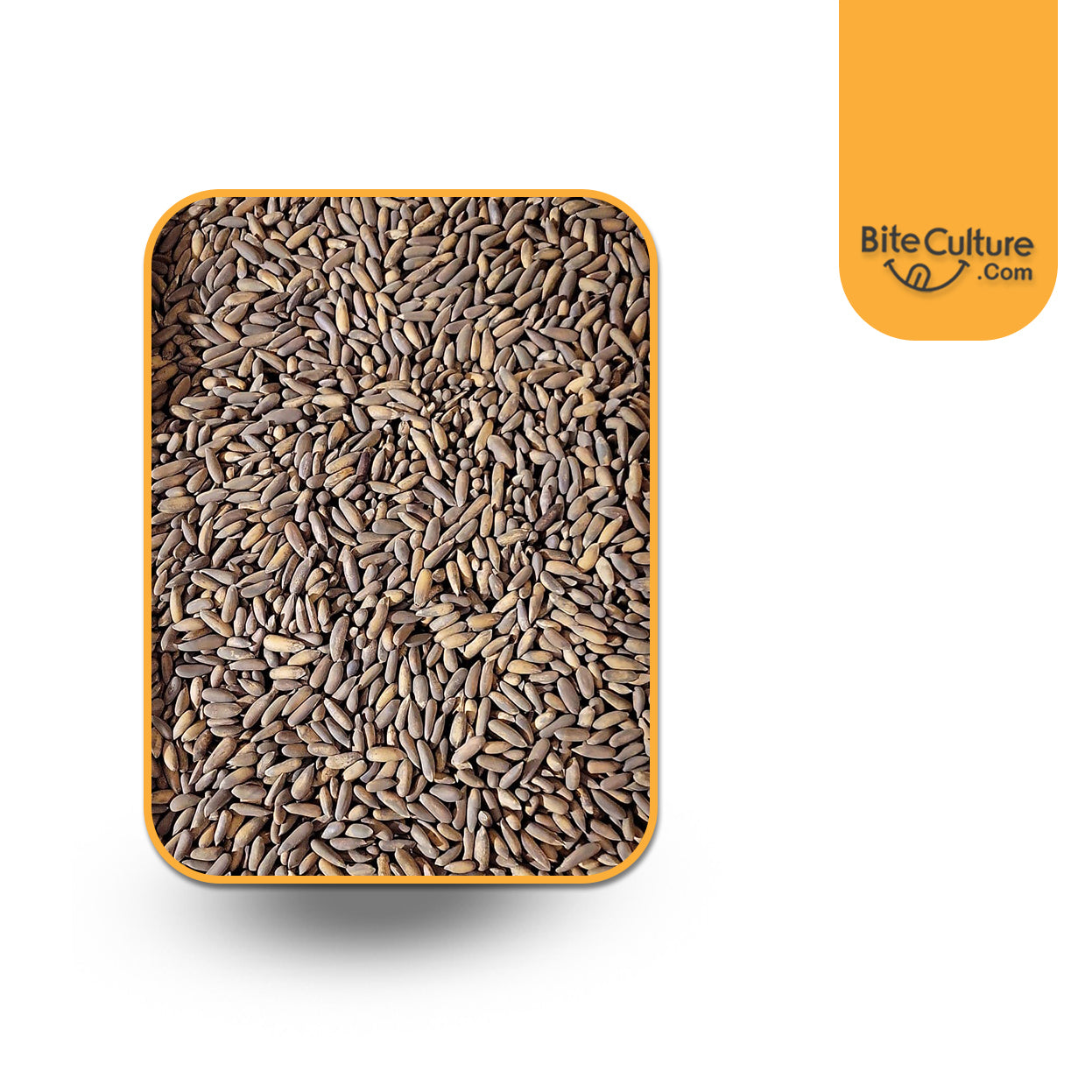 Pine Nuts- Chalghoz 1 Lb