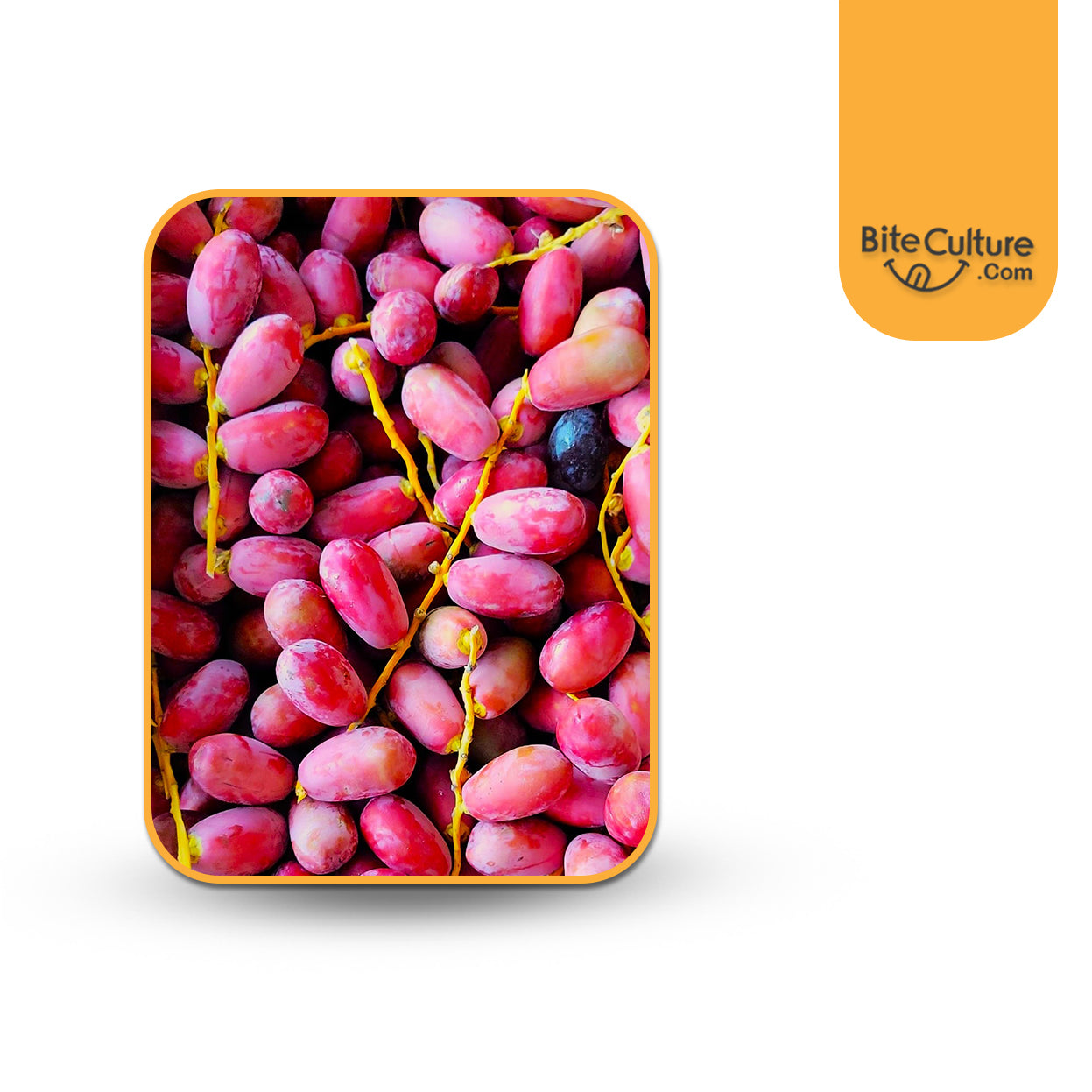 Red Fresh Dates 30 lb