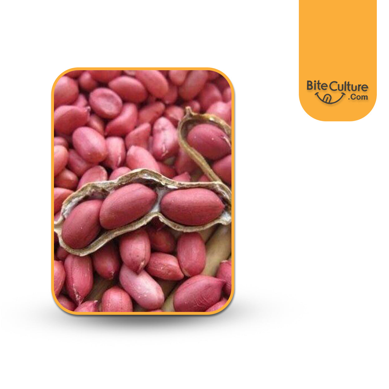 Peanuts Red Raw- 1 Lb