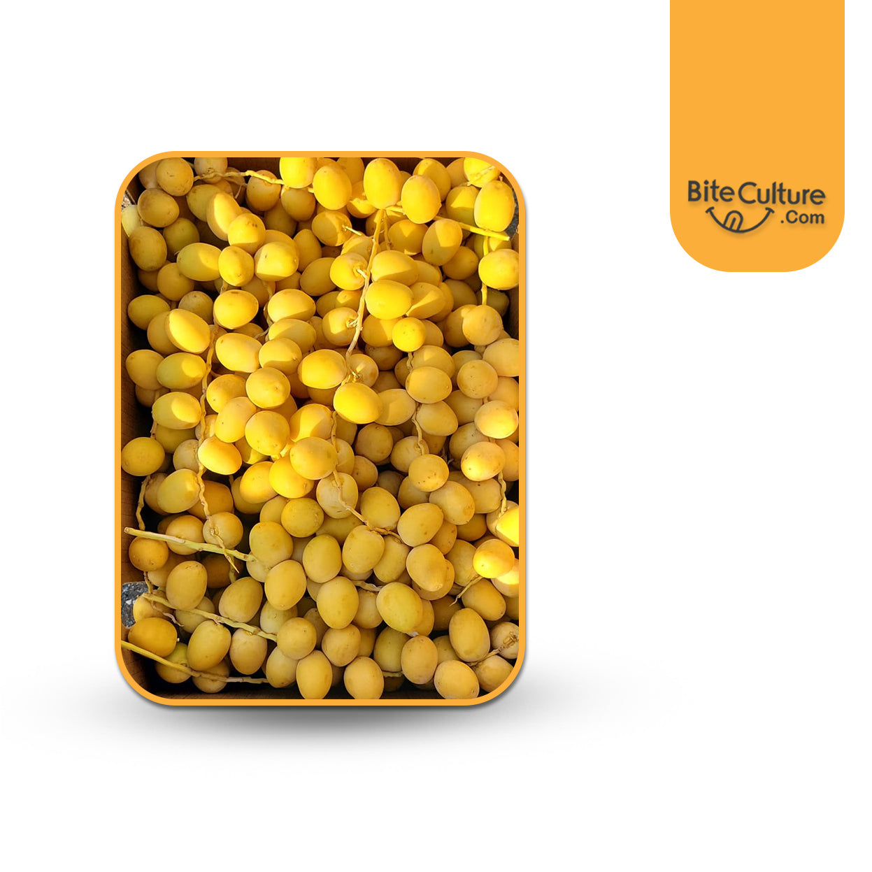 Yellow Barhi Fresh Dates 1 lb