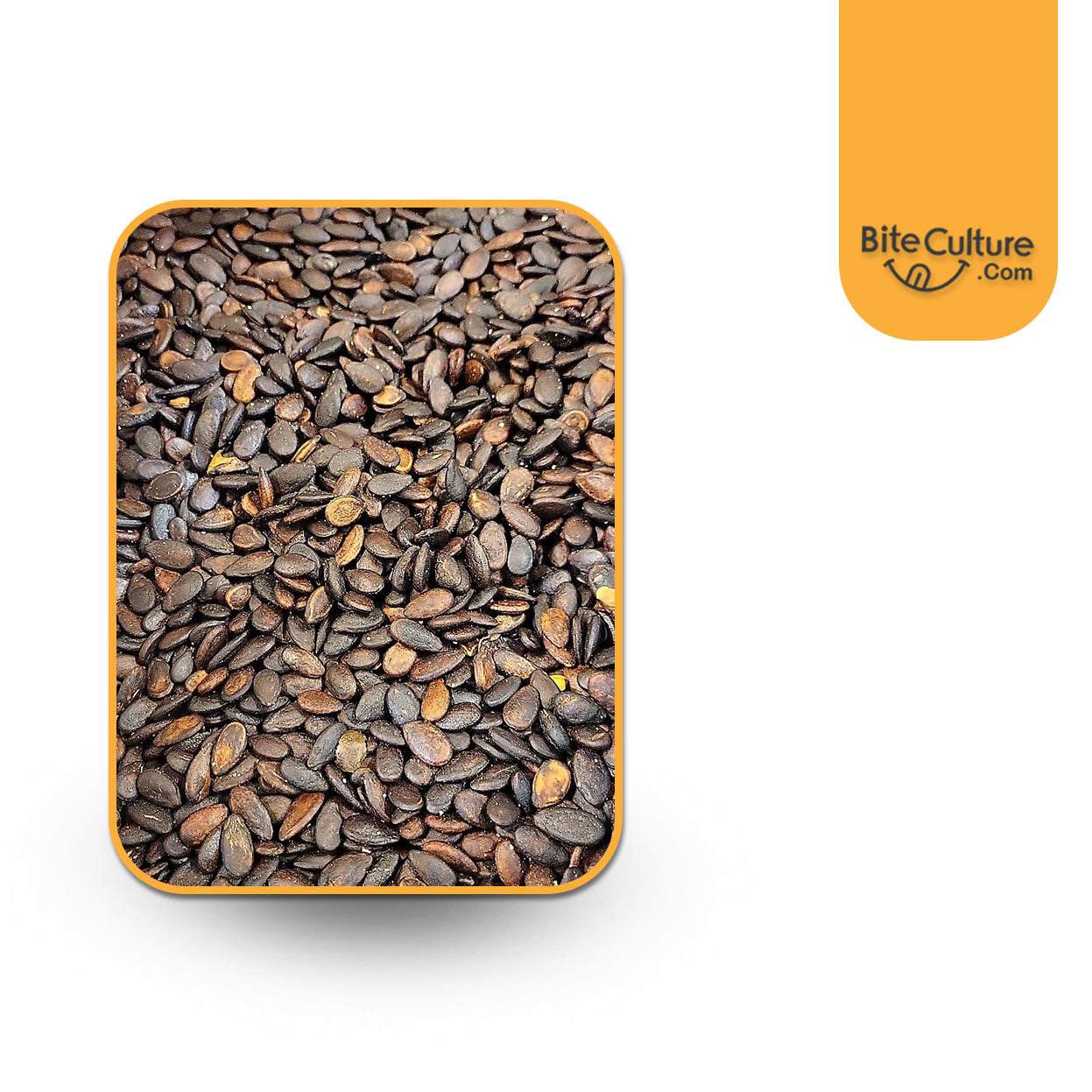 Watermelon Seed Black Jumbo R/S- 1Lb