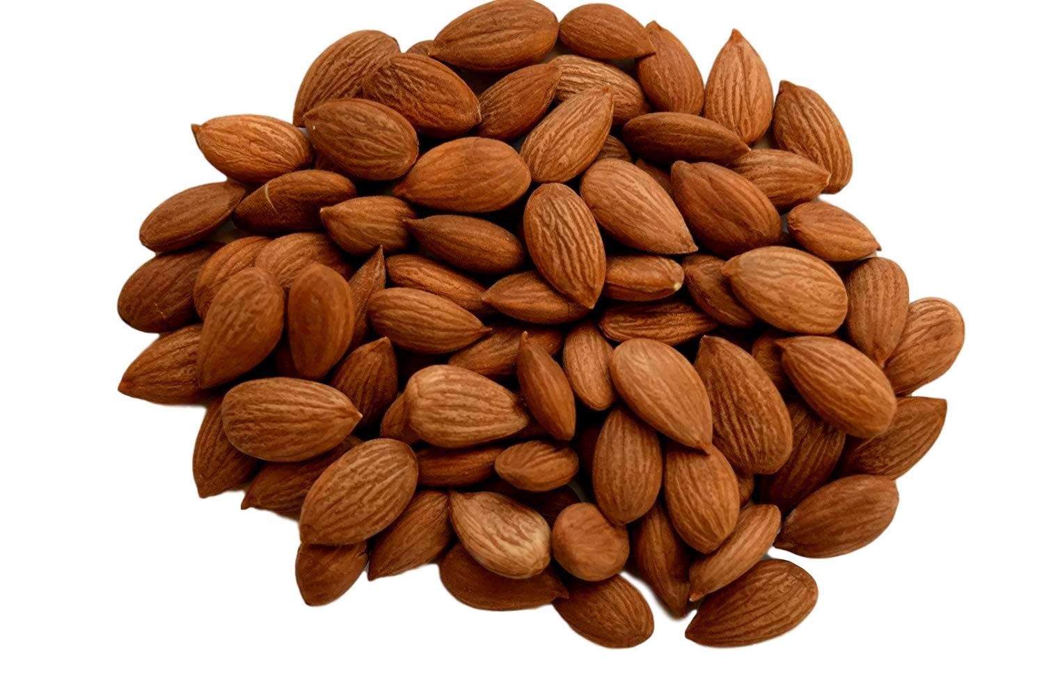 Sogol-Apricot Kernels Raw