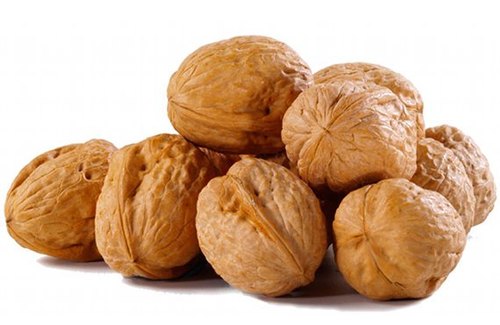 Walnut in Shell