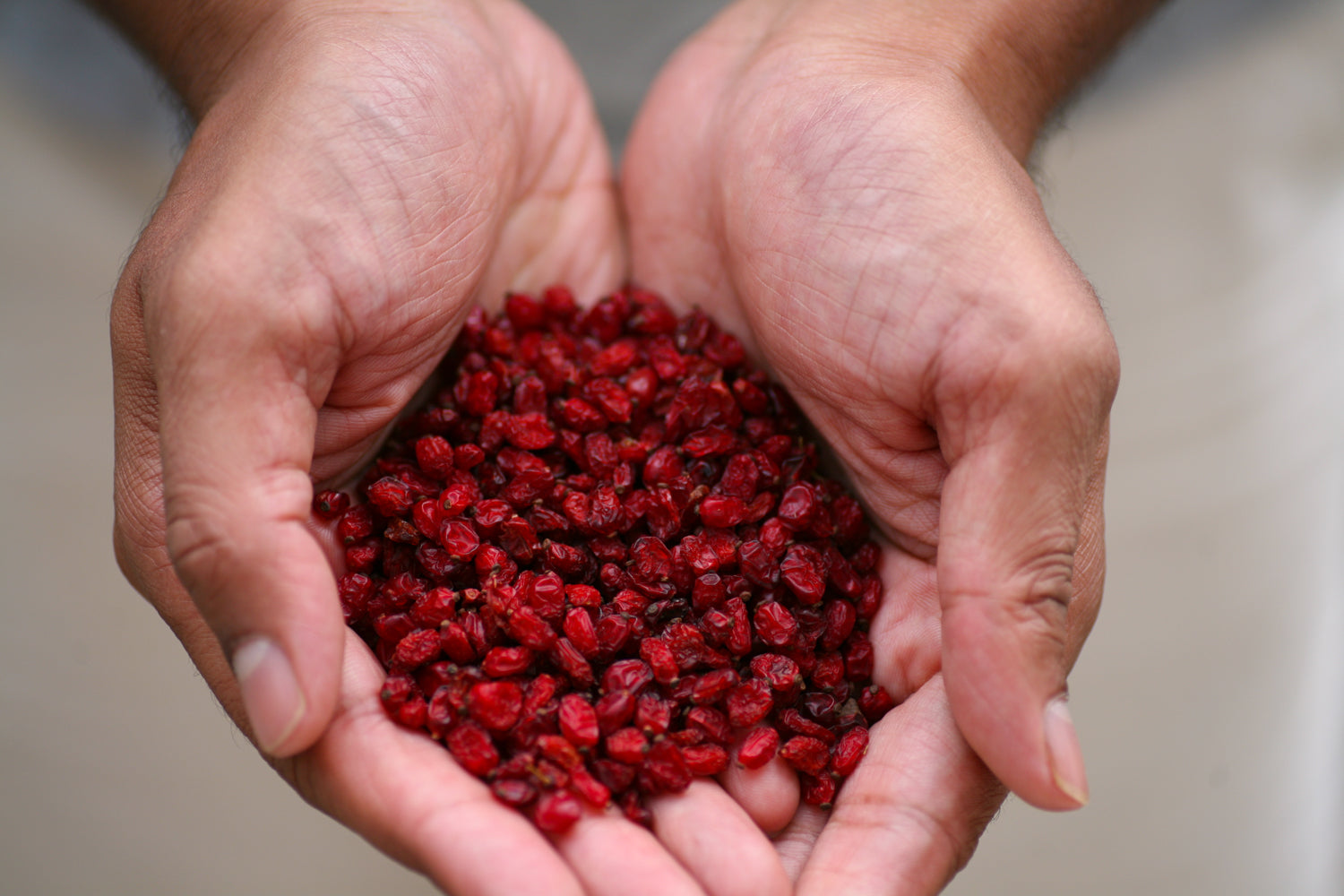 Barberries