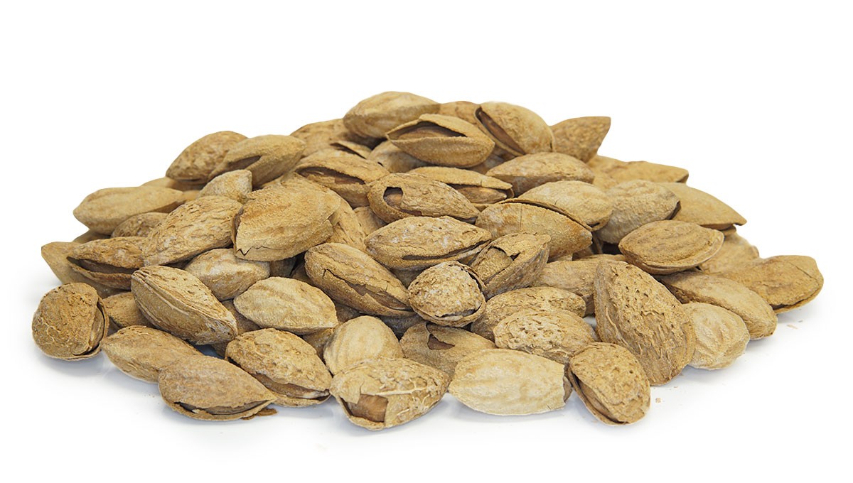 Sogol-Almond In Shell-Roasted Salted